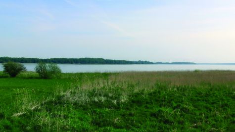 CIMG0502, bearbeitet, Prozeß.jpg